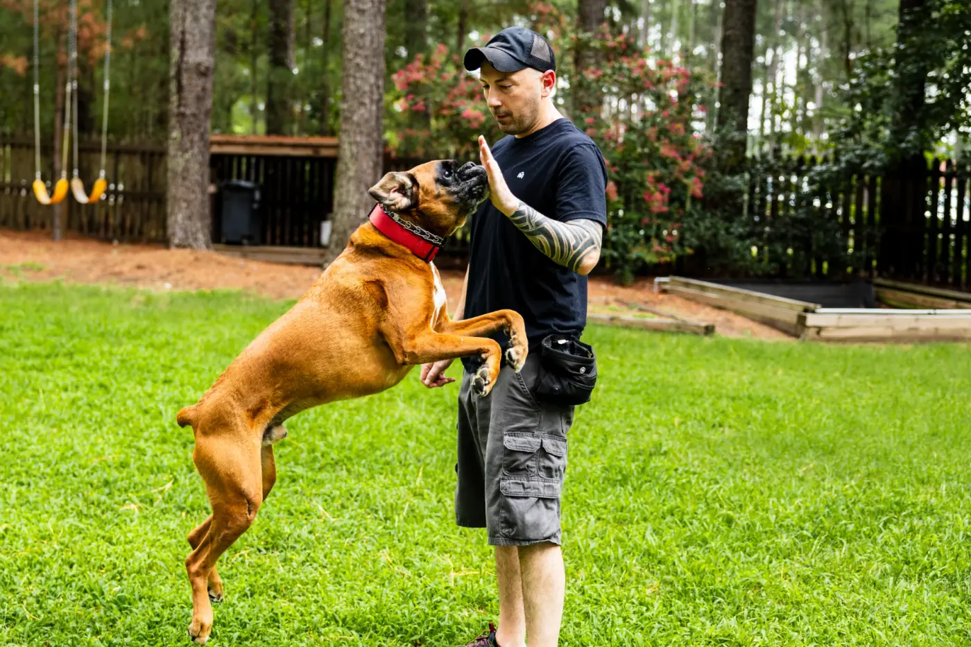 Tom of Triangle Dog Trainer working with a calm, well-behaved dog in Raleigh, NC