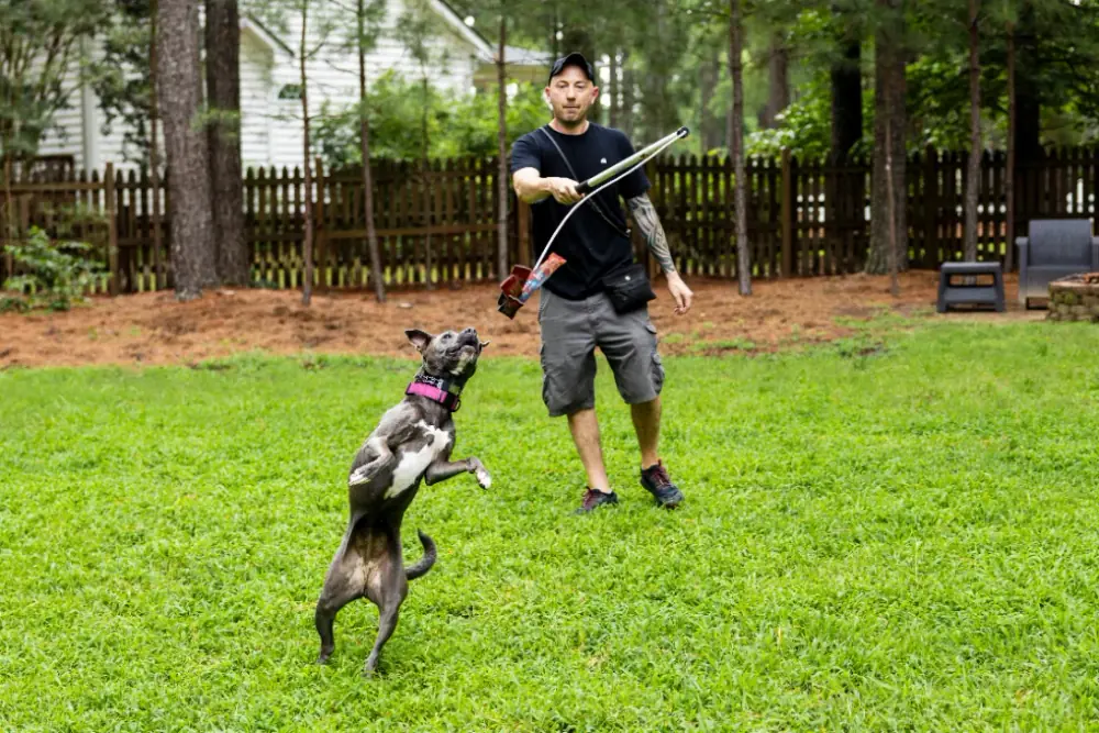 Tom, owner and lead trainer at Triangle Dog Trainer